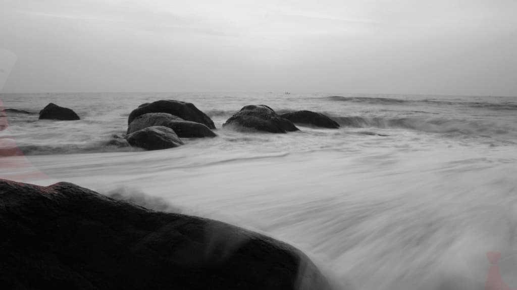a moment through my lens, 7